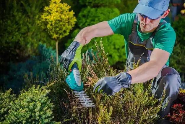 landscaping services Dillonvale
